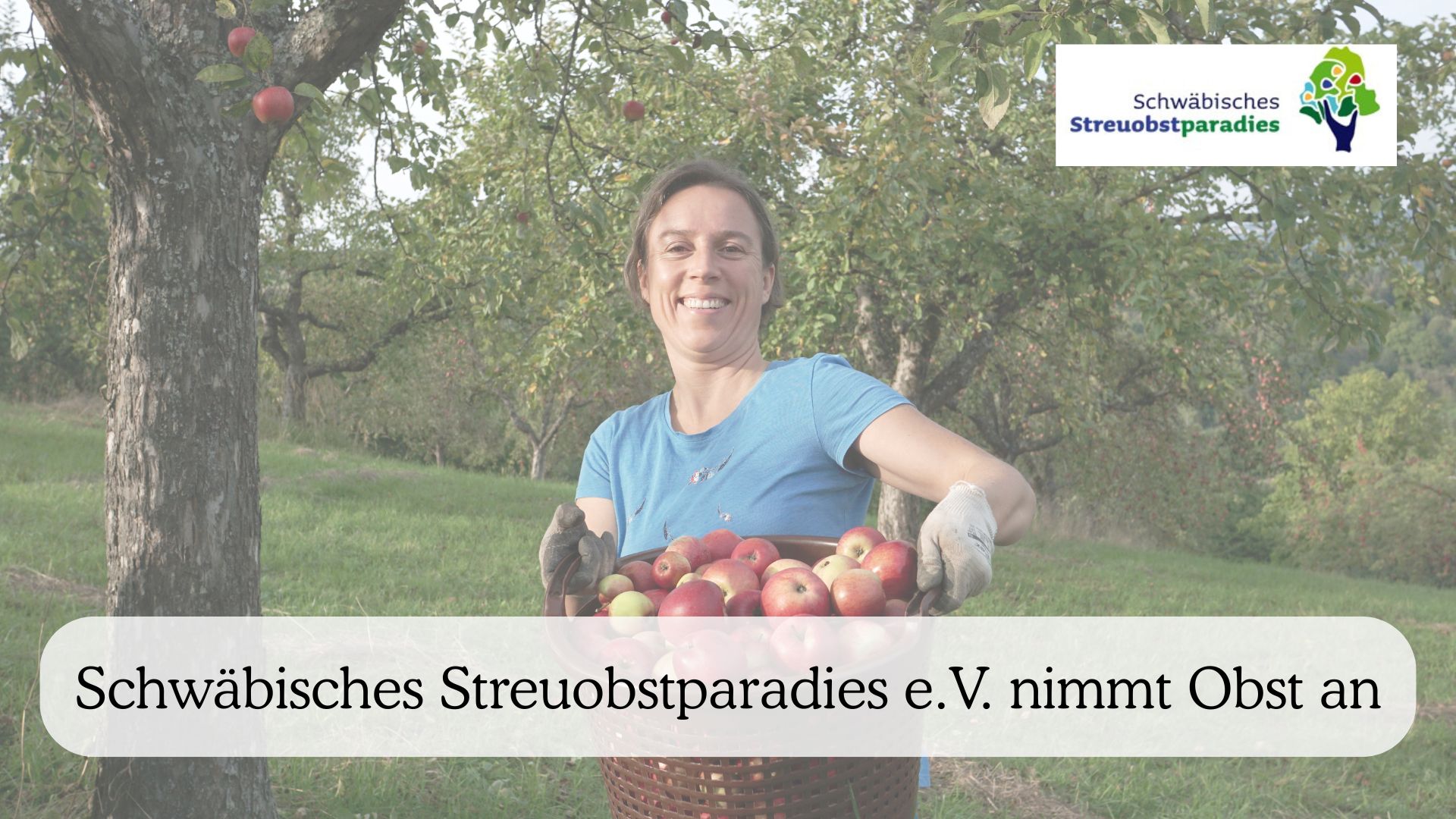 Schwäbisches Streuobstparadies e.V. nimmt Obst an
